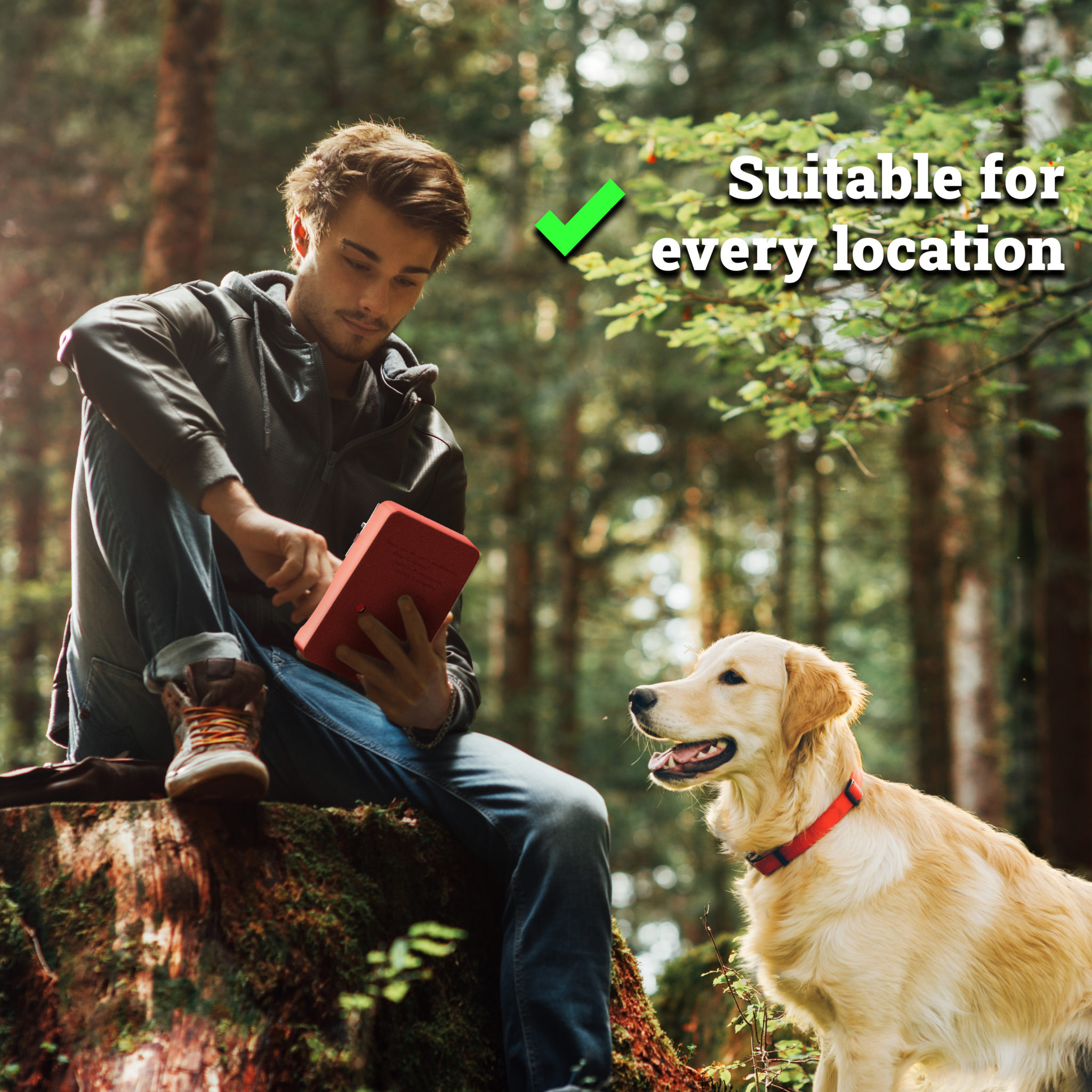 Young man using a digital tablet in the woods